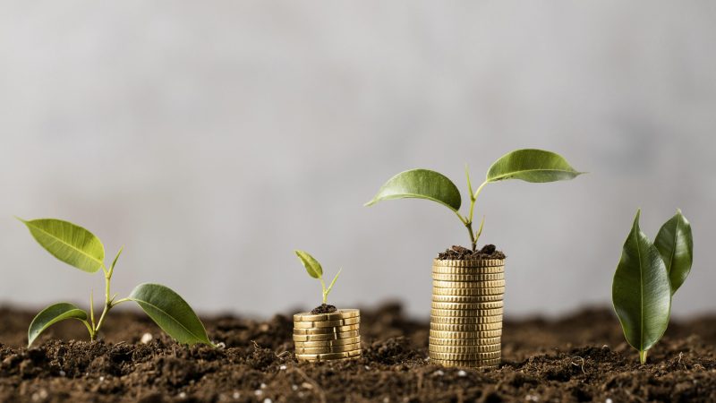 plants-with-coins-stacked-dirt-scaled-1.jpg