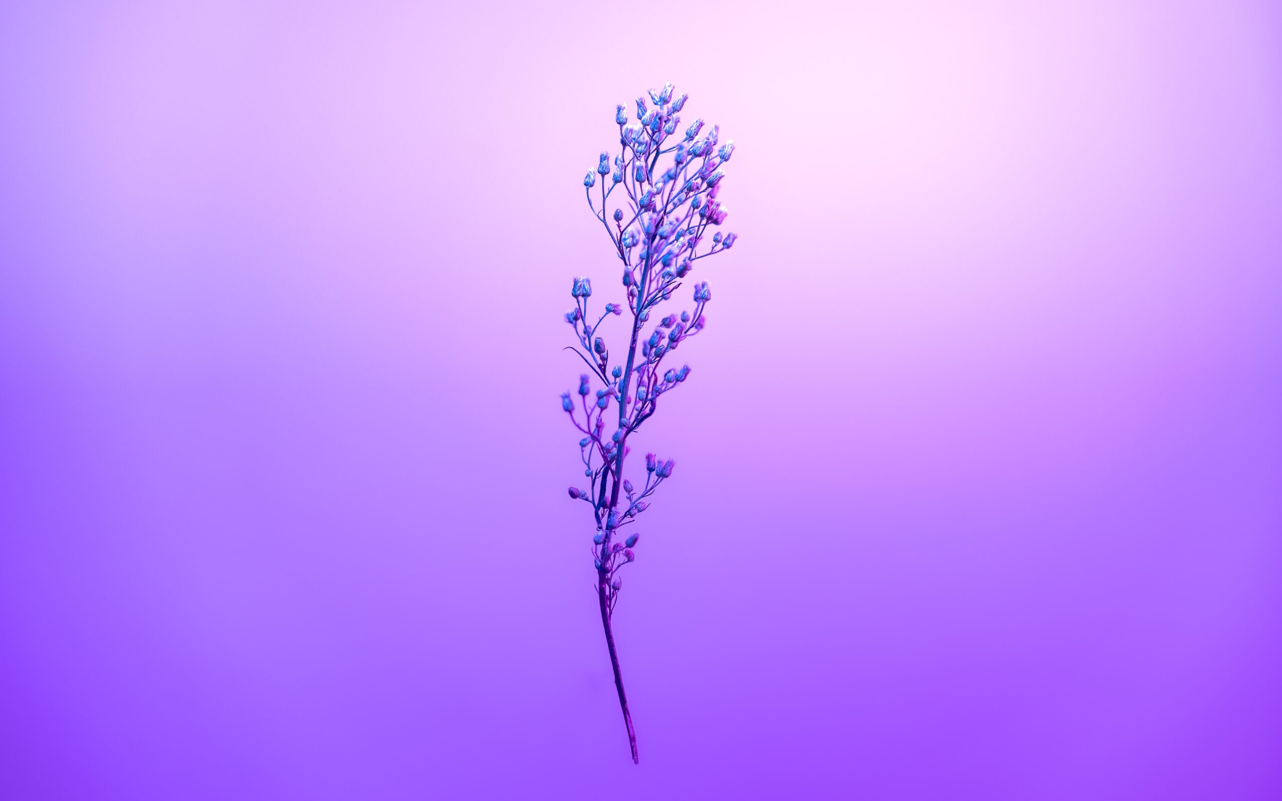marek-piwnicki-e-ROmhuBUbk-unsplash-1-scaled-1.jpg
