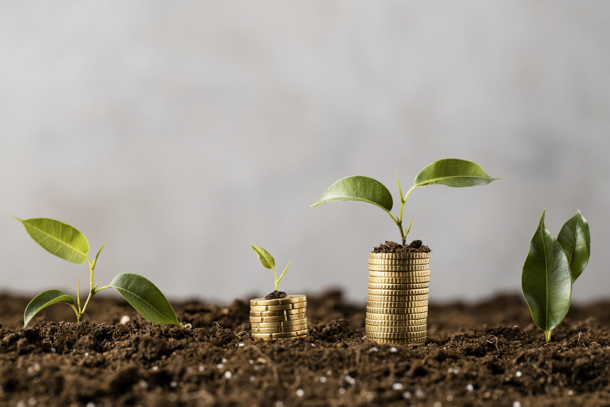 plants-with-coins-stacked-dirt-scaled-1.jpg